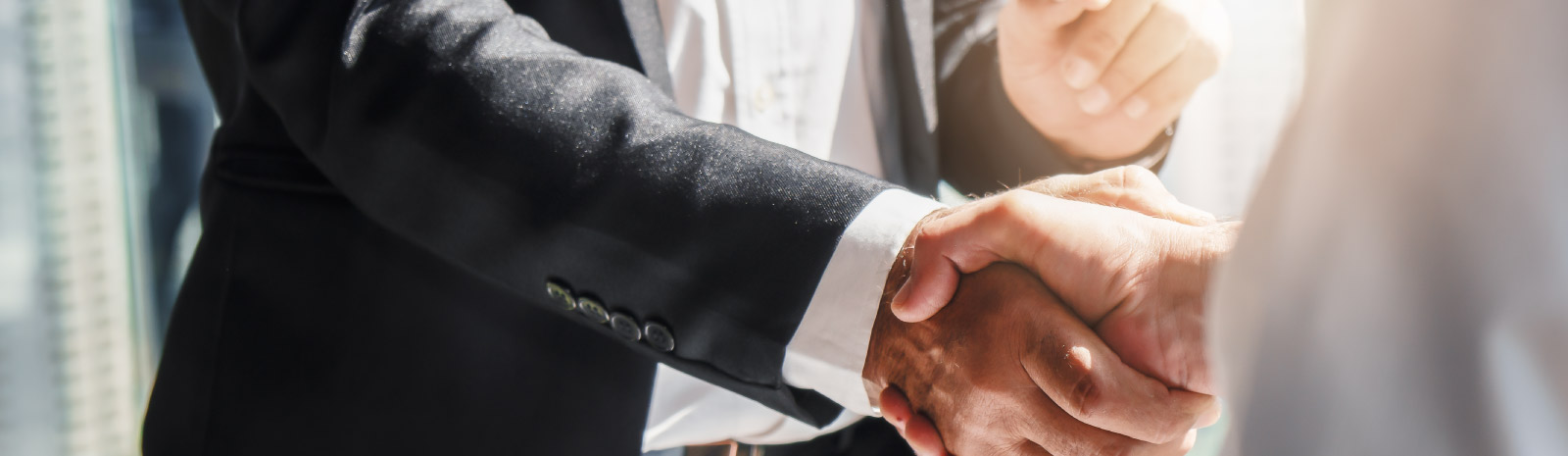 two people engaged in a handshake